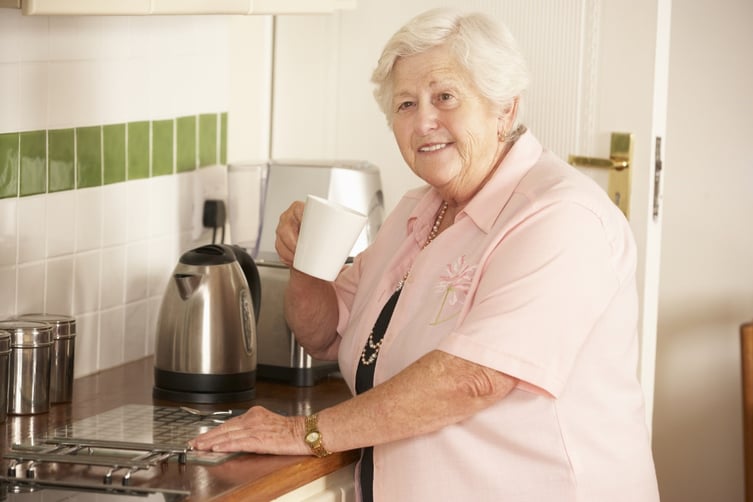 Service Businesses Boom in Seniors Market: Offer an Alternative for those Facing a Future of Assisted Living