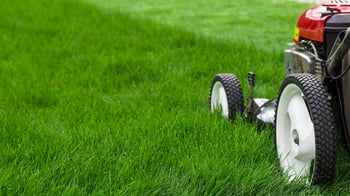 Top Revenue Streams for Profitable Lawn & Landscaping Businesses