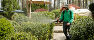Featured image: Mosquito control technician spraying yard - 3 Pest Control Industry Trends For 2024