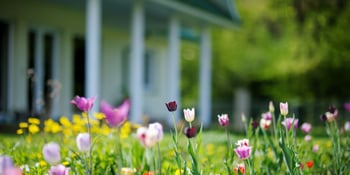 Spring Into the New Season with the Hub for Home Services