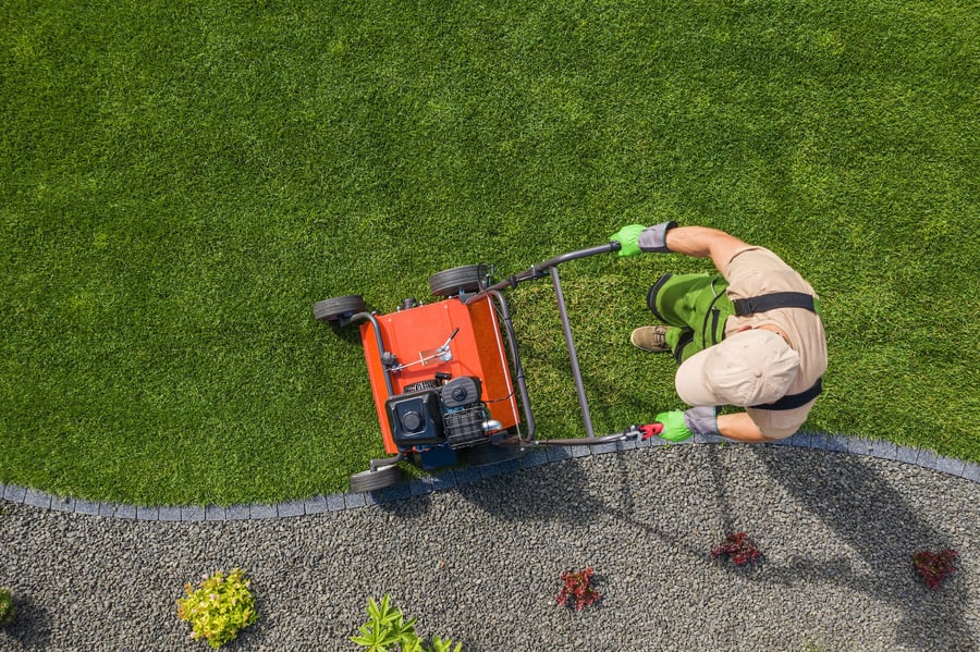 How to Start a Landscaping Business: A 4-Step Guide