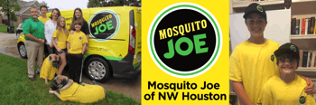 Women of Mosquito Joe: Kate Kimpton