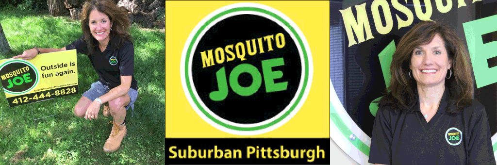 Women of mosquito joe