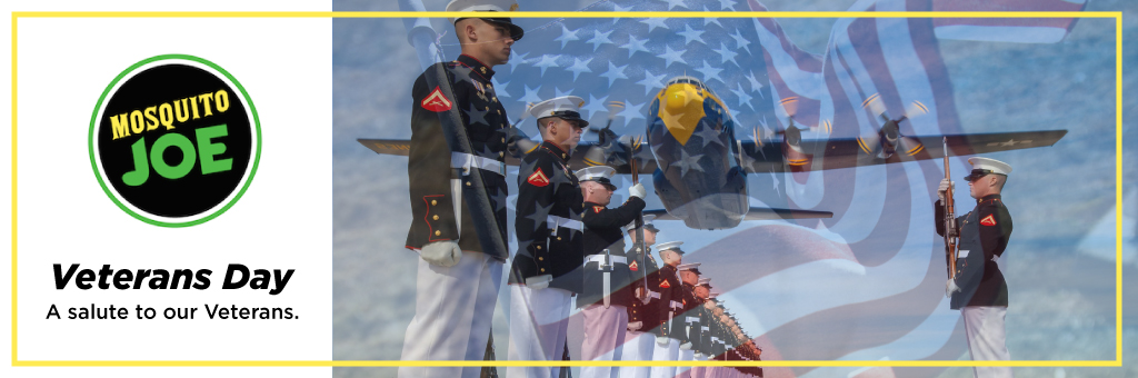 Veterans Day 2017