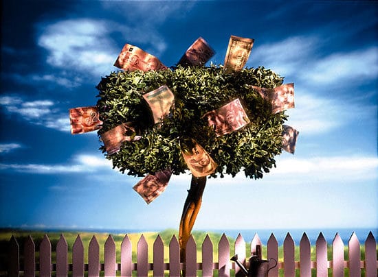 Marketing to Generate Revenue | ShelfGenie