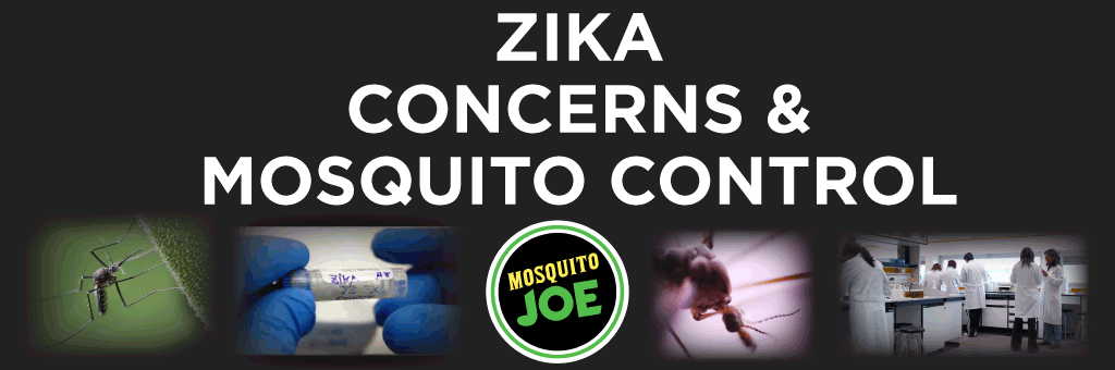 Zika Concerns Cause Mosquito Control Needs to Spike - Mosquito Joe Franchise