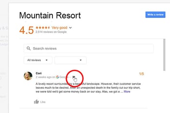When and How to Remove Google Reviews
