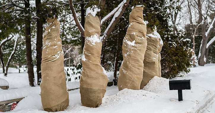 Featured image: NBR-FD_OUW_landscaping business ideas_Jan19_20190214 - Landscaping Business Ideas: Combating Seasonality & More