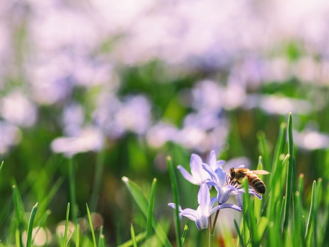 Three Types of Businesses Perfect to Start in Spring and Summer