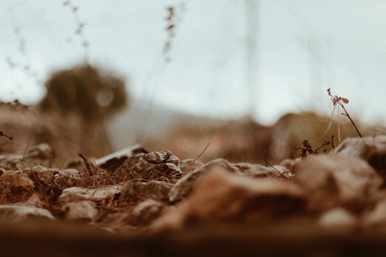 Featured image: dirt rawad-semaan-436958-unsplash - Franchisees Offer Expertise to Homeowners when DIY Projects Run Amok