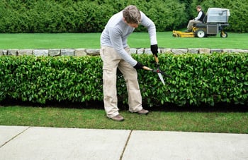 5 Tips to Keep Your Landscaping Business Growing Year-Round