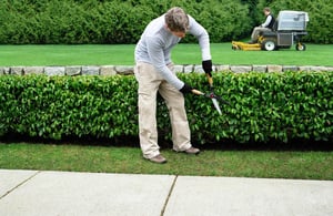 landscaping business tips  - 5 Tips to Keep Your Landscaping Business Growing Year-Round